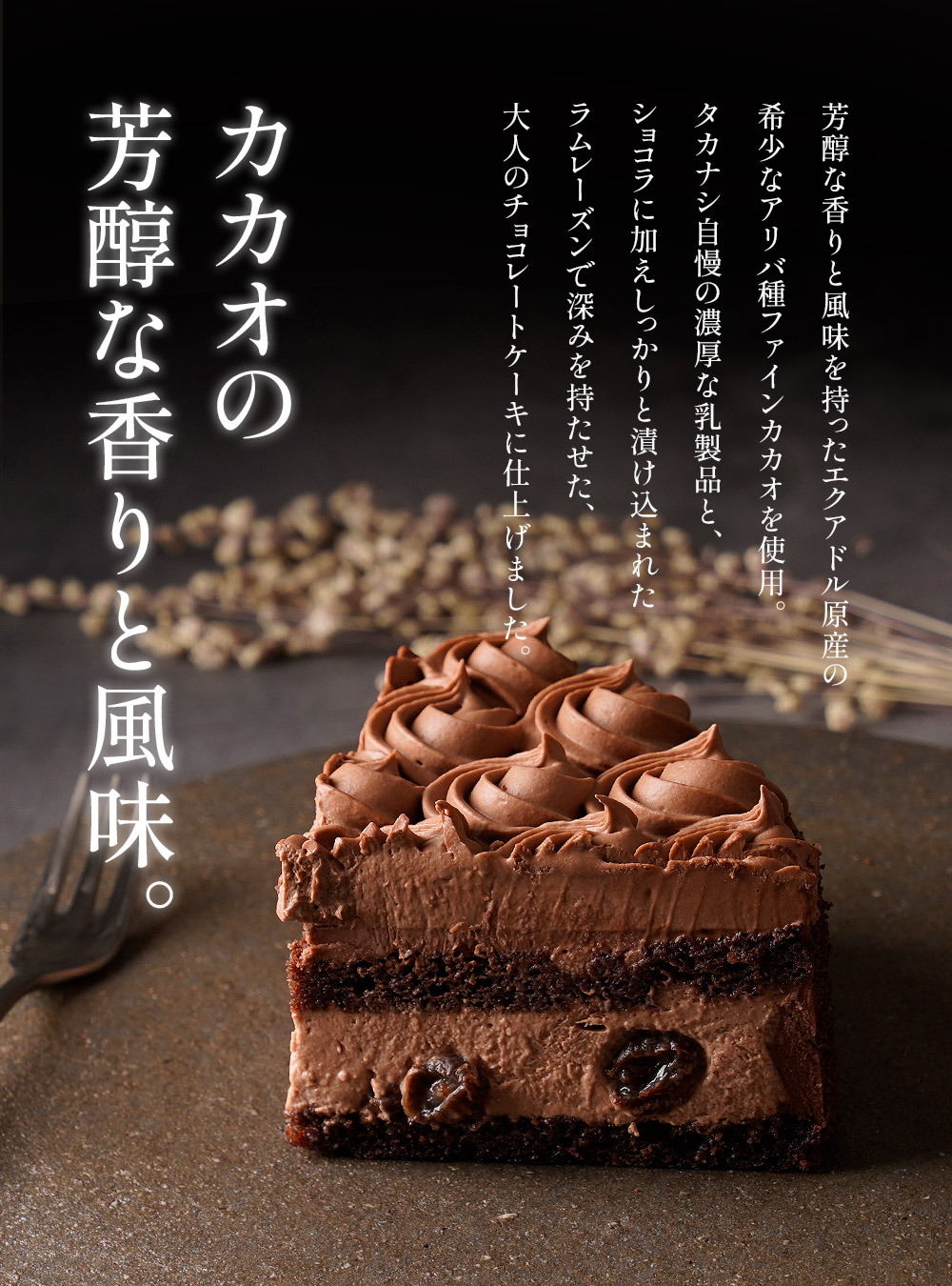 アリバ（チョコレートケーキ） | タカナシミルク WEB SHOP